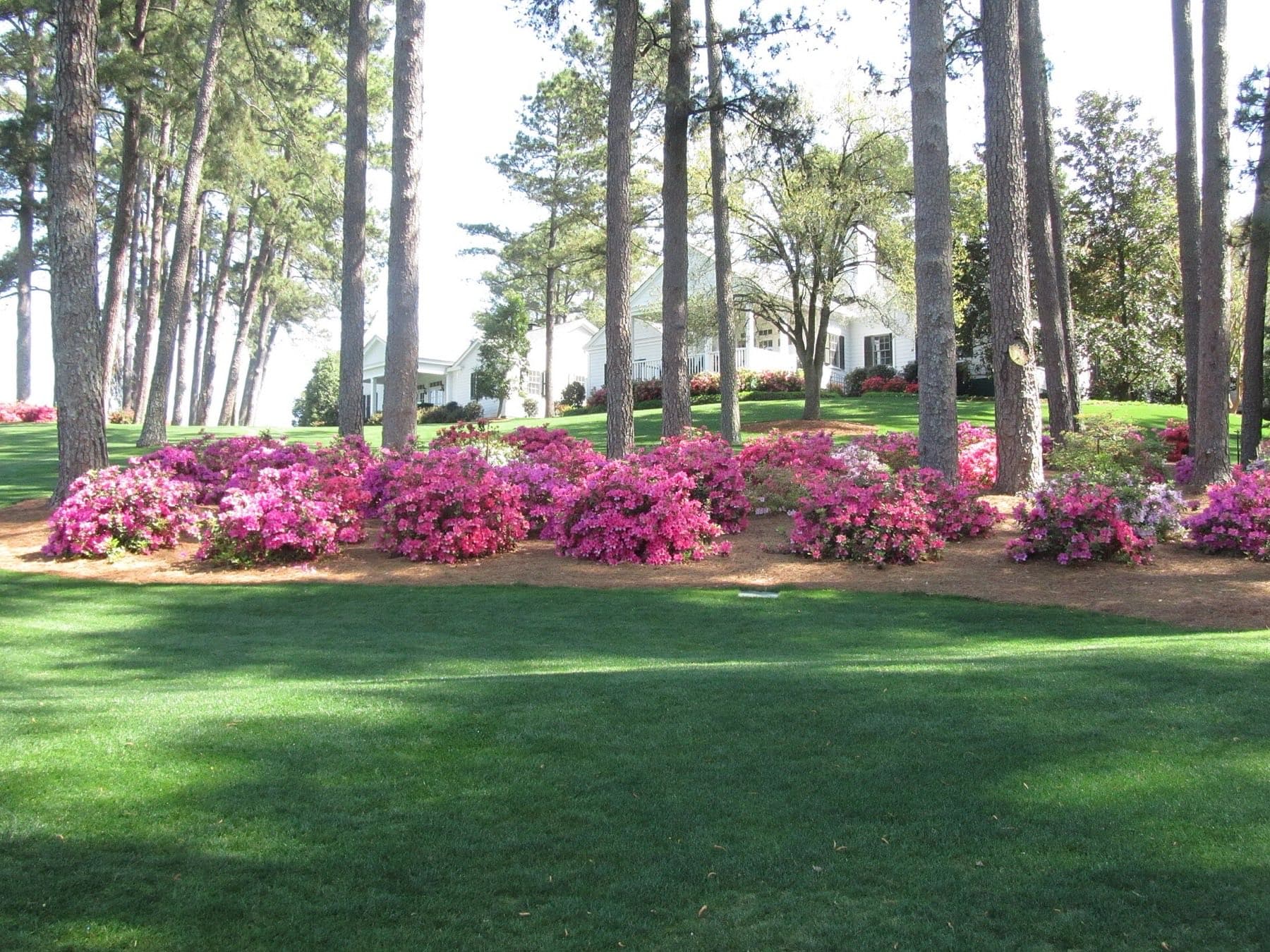 The Masters 2027
